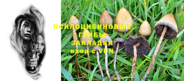 2c-b Бугульма